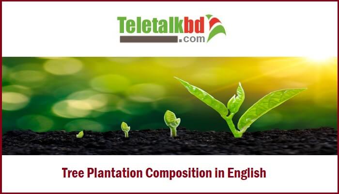 Tree Plantation composition