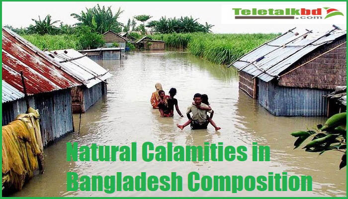 Natural Calamities in Bangladesh Composition