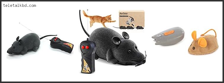 remote control mouse for dogs